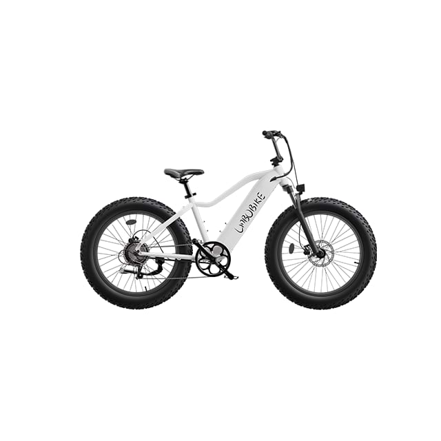 26 inch dikke band elektrische mountainbike stad woon-werkverkeer LB-DS01