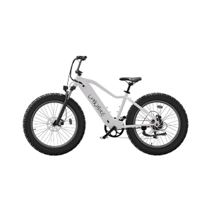 26 inch dikke band elektrische mountainbike stad woon-werkverkeer LB-DS01